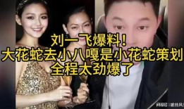 大花爆料视频,娱乐圈幕后真相大曝光